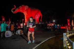 BIB: 
                            <button type="button" onclick="openModal(26551821)" class="btn btn-primary btn-sm float-right btn-popup" data-toggle="modal" data-target=".modal-high-quality">
                        <i class="fas fa-shopping-cart"></i> Add to Cart
                    </button>
                                            <button type="button" onclick="isThisMe(26551821, true)" class="btn btn-success btn-sm float-right btn-popup btn-isme hidden" data-toggle="tooltip" data-placement="bottom" title="นี่คือรูปของคุณใช่ไหม คลิกที่นี่เพื่อเอาเข้าอัลบั้ม">
                        <i class="fas fa-plus"></i> Add to album
                    </button>
                    <button type="button" onclick="isThisMe(26551821, false)" class="btn btn-warning btn-sm float-right btn-popup btn-isnotme hidden">
                        <i class="fas fa-ban"></i> Remove from album
                    </button>